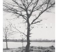 Rico Friebe - Maintenant [Vinyl Lp]