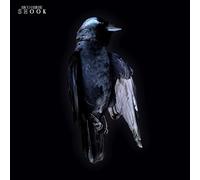 Rico Friebe - Shook [Vinyl LP]