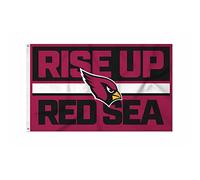 Rico Industries Drapeau NFL Football Arizona Cardinals Bold 0,9 x 1,5 m - Intérieur ou extérieur - Décoration d'intérieur
