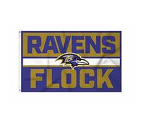 Rico Industries Drapeau NFL Football Baltimore Ravens Bold 0,9 x 1,5 m - Intérieur ou extérieur - Décoration d'intérieur