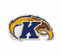 Rico Industries Fanion NCAA Kent State Golden Flashes - Forme primaire - Décoration de maison et de salon - Feutre doux EZ à accrocher