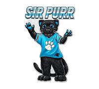 Rico Industries NFL Carolina Panthers Fanion Mascotte
