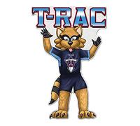 Rico Industries NFL Tennessee Titans Fanion en forme de mascotte