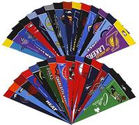 Rico Nba 30 Team Mini Pennant Set