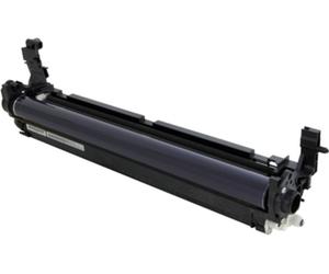 Ricoh D2442229 - Tambour