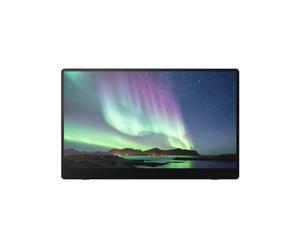 Ricoh Moniteur portable 150