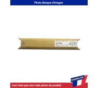 Ricoh Cartouche toner 842238 Cyan 10 000 pages pour Aficio MP C300