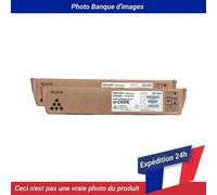 Ricoh Sp C430E Print Cartridge Black Pack Of 2