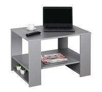 RICOO Table Basse Salon 72 x 50 x 50 cm WM090-PL Table d'appoint avec Rangement Gris