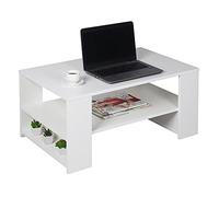 RICOO Table Basse Salon 80 x 39 x 50 cm WM090-WM Table d'appoint avec Rangement Blanc