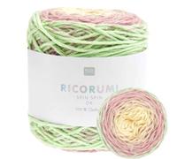 Ricorumi Spin Spin 50 g - Couleur : 20 - Dégradé icecream - Coton fin pour crochet des figurines Amigurumi des nouveaux cahiers Ricorumi