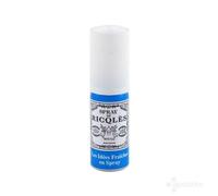 Ricqles Spray Buccal Menthe 15ml
