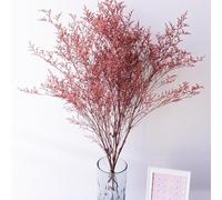 RIDAEX Bouquet de Fleurs séchées Naturelles, 30g/50g, véritable Herbe d'amour, Bouquet Floral décoratif pour matériel de Mariage, Saint-Valentin, Fleur préservée