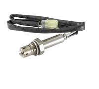 RIDE AND CUSTOM sonde Lambda Compatible avec Triumph Tiger 955 I Spoked Wheel 955 2003-2003