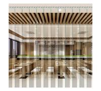 Rideau à lanières Transparent en PVC pour Chambres Froides, 240 x 240 cm, Rideau de Porte de congélateur en Plastique, Solution de Porte à lanières Durable et écoénergétique.