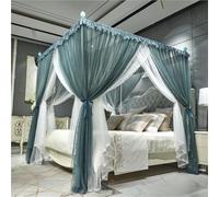 Rideau de baldaquin de lit, filet à volants double couche avec dentelle, tente d'intimité en polyester doux pour décoration de chambre à coucher, sanctuaire confortable pour filles et adultes