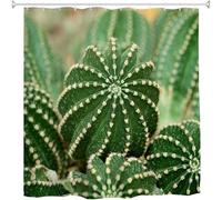 Rideau de Douche Cactus, Anti Moisissure Imperméable Rideau Baignoire Cactus Rideaux Douche 180x180, Lavable Polyester Shower Curtain 3D Rideaux Salle de Bain 12 Crochets vq5141