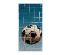 Rideau de porte « Football in The Football Network » - Bannière de bienvenue - Toile de fond pour photographie - Décoration murale pour fête de mariage, fête d'anniversaire - 177,8 x 90,9 cm