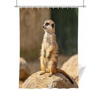 Rideau Douche 180x220 cm Suricate Debout sur Rocher Clair