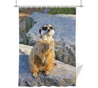 Rideau Douche 200x200 cm Suricate Debout sur Rocher Gris