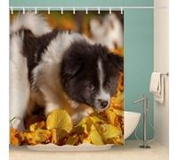 Rideau Douche Chiot Mignon Rideau de Douche 180x200 Anti Moisissure Feuilles Jaunes 3D Rideaux Salle de Bain Tissu Polyester Imperméable Lavable avec 12 Crochets e-5578
