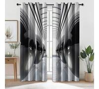 Rideau Occultant en Microfibre 70L X 175H cm 2 Panneaux, Futuriste Photographie Géométrie Sphères Rideaux imprimés Œillets sur Le Dessus pour Salon Chambre Fenetre Cuisine Gris Convient comme Cadeau