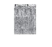 Rideau - PARTYDECO - Frange Métallisé Argent - Voilage - Nouette - Intérieur