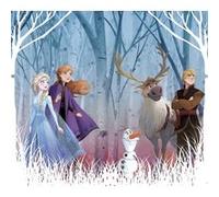 Rideaux - Disney La Reine des Neiges 2 - modèle dessin - 2 pièces 90 cm x 160 cm G
