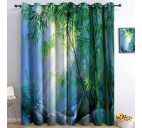Rideaux Lot de 2 Panneaux occultants Rideau Fenetre Thermique à Oeillets Insonorisés, Est Forêt Bambous Soleil Rochers Simplicité 117L x 229H cm (L x H), pour Décoration Chambre Salon salle à manger
