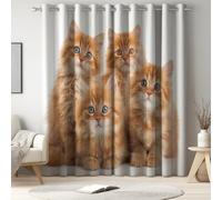 Rideaux Occultants à Oeillets, L140 x H180 cm Lot de 2, Rideau Thermique Isolant Anti Froid, Animal Mignon Chat Roux Yeux Bleus, et Fenêtre Intérieur Décoratifs.Orange
