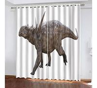 Rideaux Occultants Thermique 3D Anti Froid À Oeillets Animaux De Bande Dessinée : Stégosaure Fille Motif Rideau Occultant Isolants Thermique 264x214Cm Salon Décoration Lot De 2 Décor Chambre Bebe De