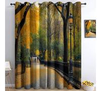 Rideaux Salon Moderne La Photographie L'Automne Parc De New York Rideau Isolant Thermique Salon Chambre Rideaux À Oeillets 3D Rideaux Acoustiques Intérieurs Rideau Occultant L85 x H200 cm 2 Panneaux