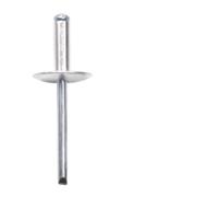 Rides creux en bronze. Rivets aveugles en alliage d'aluminium M3.2-6.4 x 6-35mm paquet de 110 pièces(20mm,M4.8 (20Pcs))