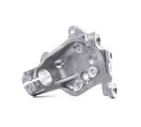 RIDEX 1159S0100 Fusée d'essieu, suspension de roue