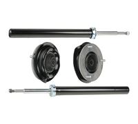 RIDEX 1185S0059 Kit de châssis, amortisseur