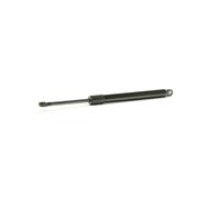 RIDEX 1207G0002 Vérin, capote