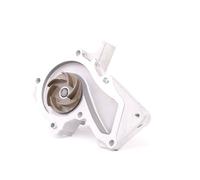 STARK SKWP-0520047 Pompe à eau pour FORD Fiesta Mk6 3/5 portes (JA8, JR8)