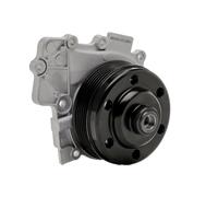 RIDEX 1260W0559 Pompe à eau