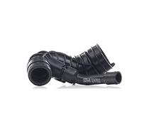 RIDEX 1591I0098 Durite d'admission d'air Compatible avec FORD Fiesta Mk6 3/5 portes JA8, JR8