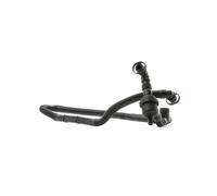 RIDEX 1600H16000014 Tuyau reniflard d'huile