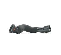RIDEX 1600H16000025 Tuyau reniflard d'huile