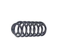 RIDEX 188C0793 Ressort de suspension