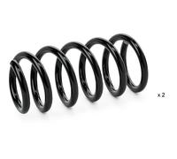 RIDEX 188C2016 Ressort de suspension