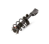 RIDEX 198S0080 Jambe de force