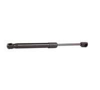RIDEX 219G0454 Vérin de coffre