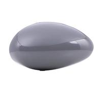 RIDEX 23A0119 Revêtement rétroviseur extérieur droit