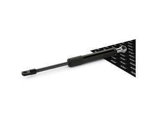 RIDEX 2454G0004 Vérin, vitre arrière