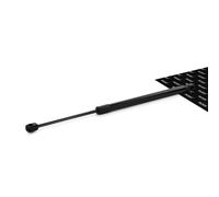 RIDEX 2454G0012 Vérin, vitre arrière