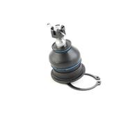 RIDEX 2462S0146 Rotule de suspension des deux côtés de l'Avant avec écrou Compatible avec FORD Focus Mk2 3/5 portes DA, HCP, DP