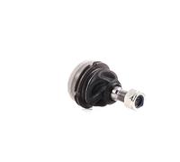 RIDEX 2462S0408 Rotule de suspension des deux côtés de l'Avant Compatible avec TALBOT Murena Coupe